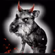 Dogfi