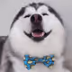 likun