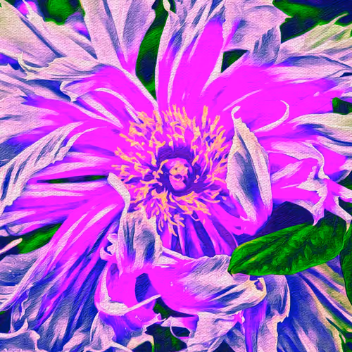 Petal