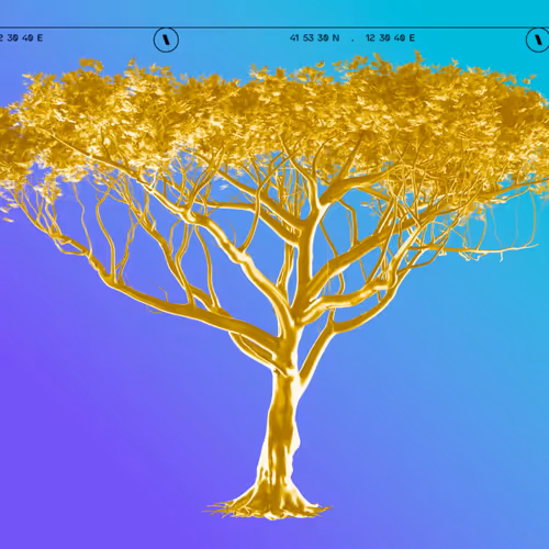 TBWA Indaba Tree  Oro