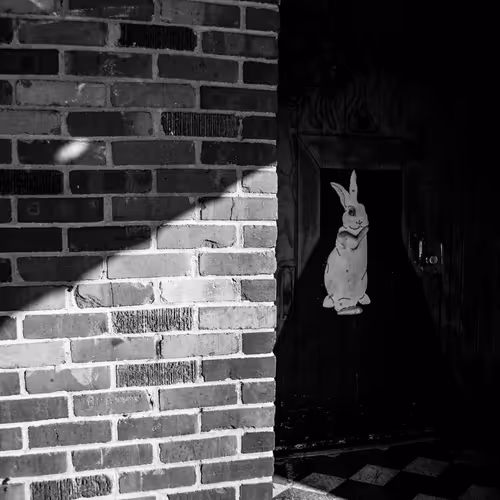 Fans of Build for Humans