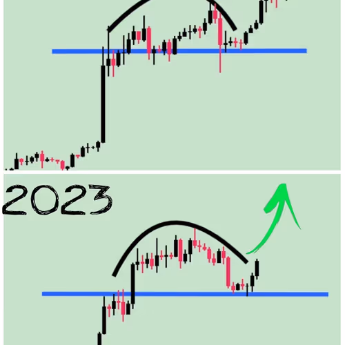 jackzora.lens-Collect-88