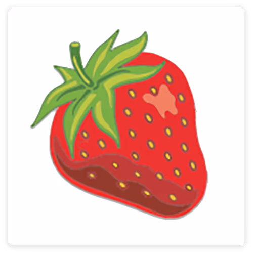 Strawberry 22