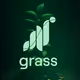 Grass pts