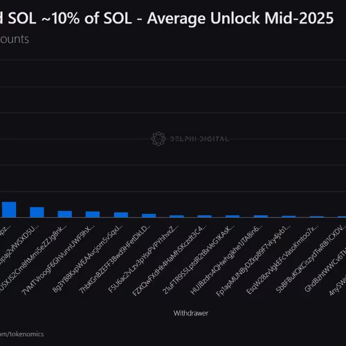 kingjunaid12.lens-Collect-2372