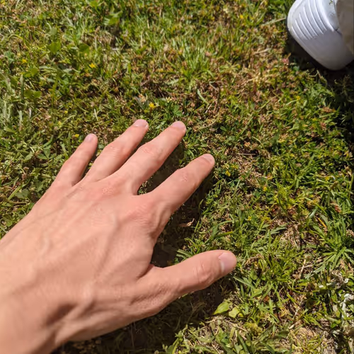 ustas.lens-Collect-471