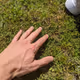 ustas.lens-Collect-471