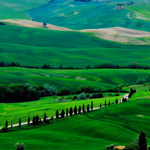 vrich.lens-Collect-788