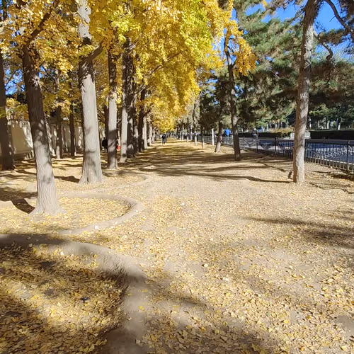 promisesk.lens-Collect-189