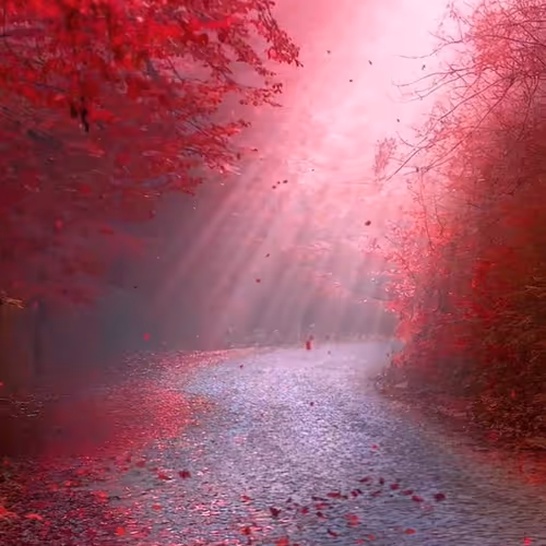 92333.lens-Collect-60