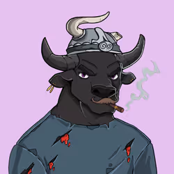 COOL BULLZ #626