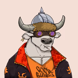 COOL BULLZ #1685