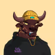 COOL BULLZ #1423