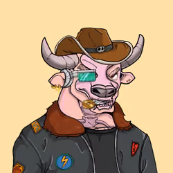 COOL BULLZ #763