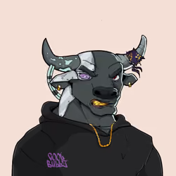 COOL BULLZ #1003