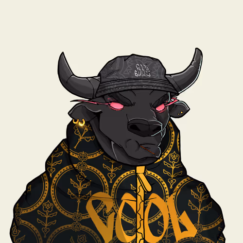 Cool Bullz 2