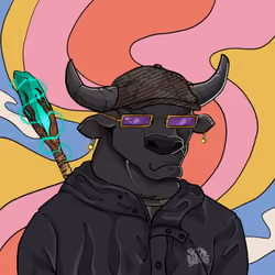 COOL BULLZ #1499