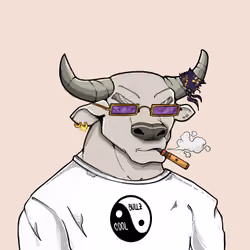 COOL BULLZ #430