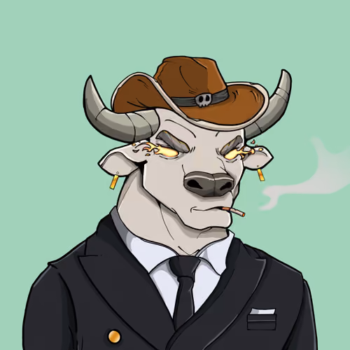 COOL BULLZ #469
