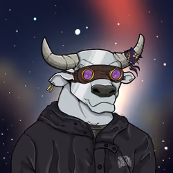 COOL BULLZ #1146
