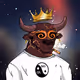 COOL BULLZ #609