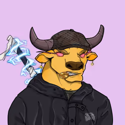 COOL BULLZ #1824