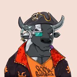 COOL BULLZ #1163