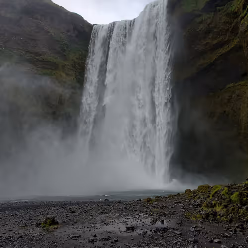 Nature Traveling