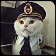 Cat Captain