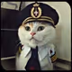 Cat Captain