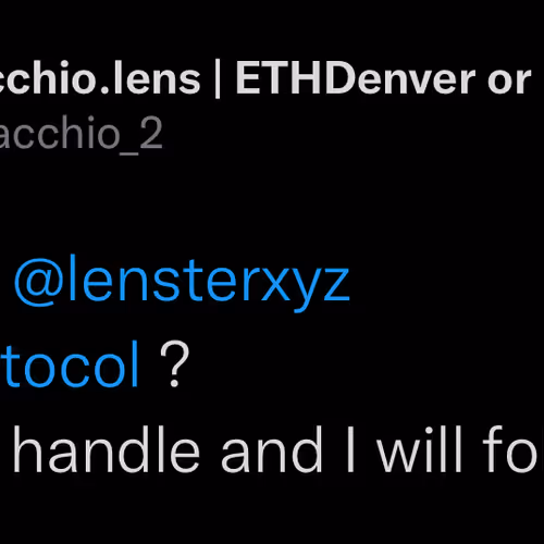 pistacchio.lens-Collect-6