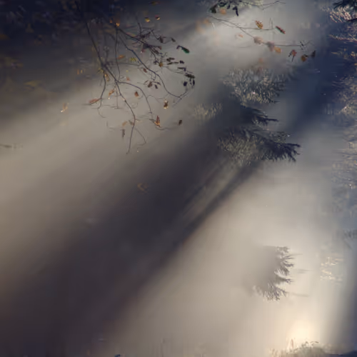 mist