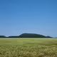 goodfeeling.lens-Collect-392