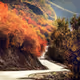 jrsbxmt3.lens-Collect-328