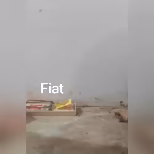 freedogecoin.lens-Collect-1439