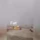 freedogecoin.lens-Collect-1439