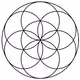 Quantum Flower of Life