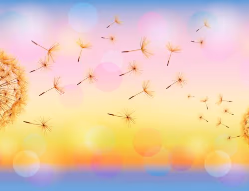 The flowers