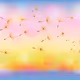 The flowers