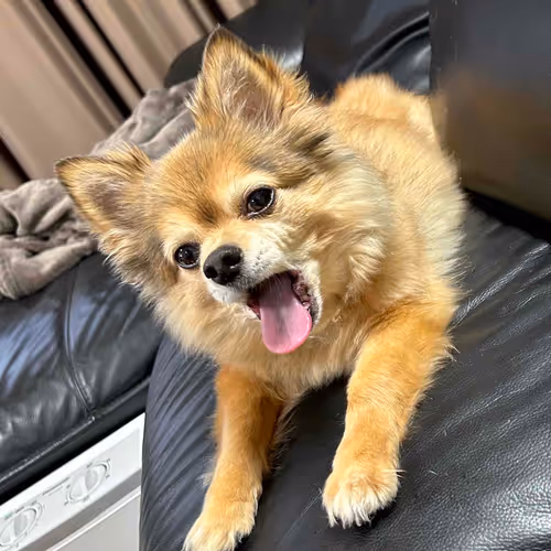 cloud6.lens-Collect-834