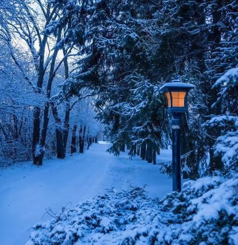 goback.lens-Collect-705