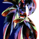 Layer3 Art Campaign: Diaspora Dreamscape 16
