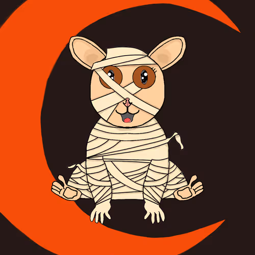 Slow Loris #62