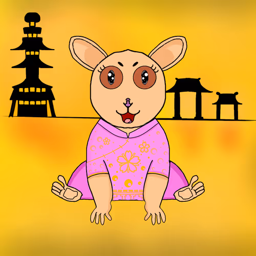 Slow Loris #48