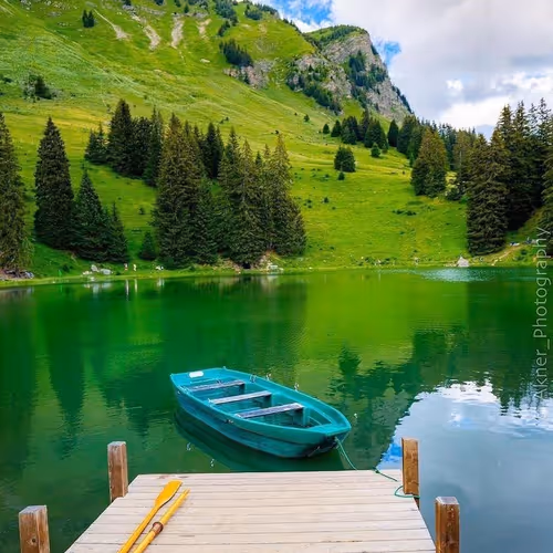 fortunetrees.lens-Collect-18322