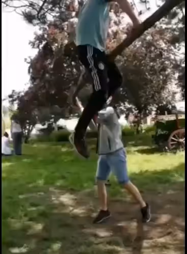 bitc85131.lens-Collect-259