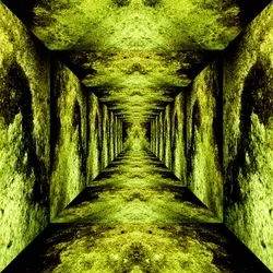 MICROMENSION#578