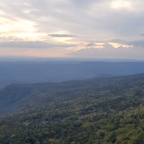 opoptoe.lens-Collect-69