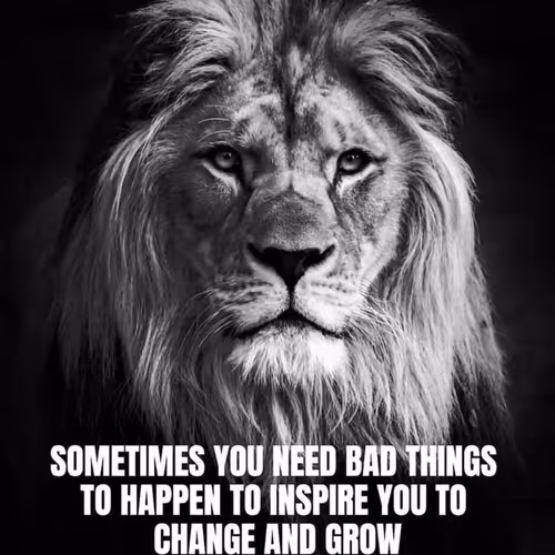 justinsunset.lens-Collect-1434