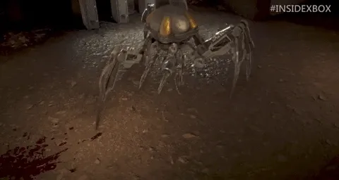 0xamel.lens-Collect-268